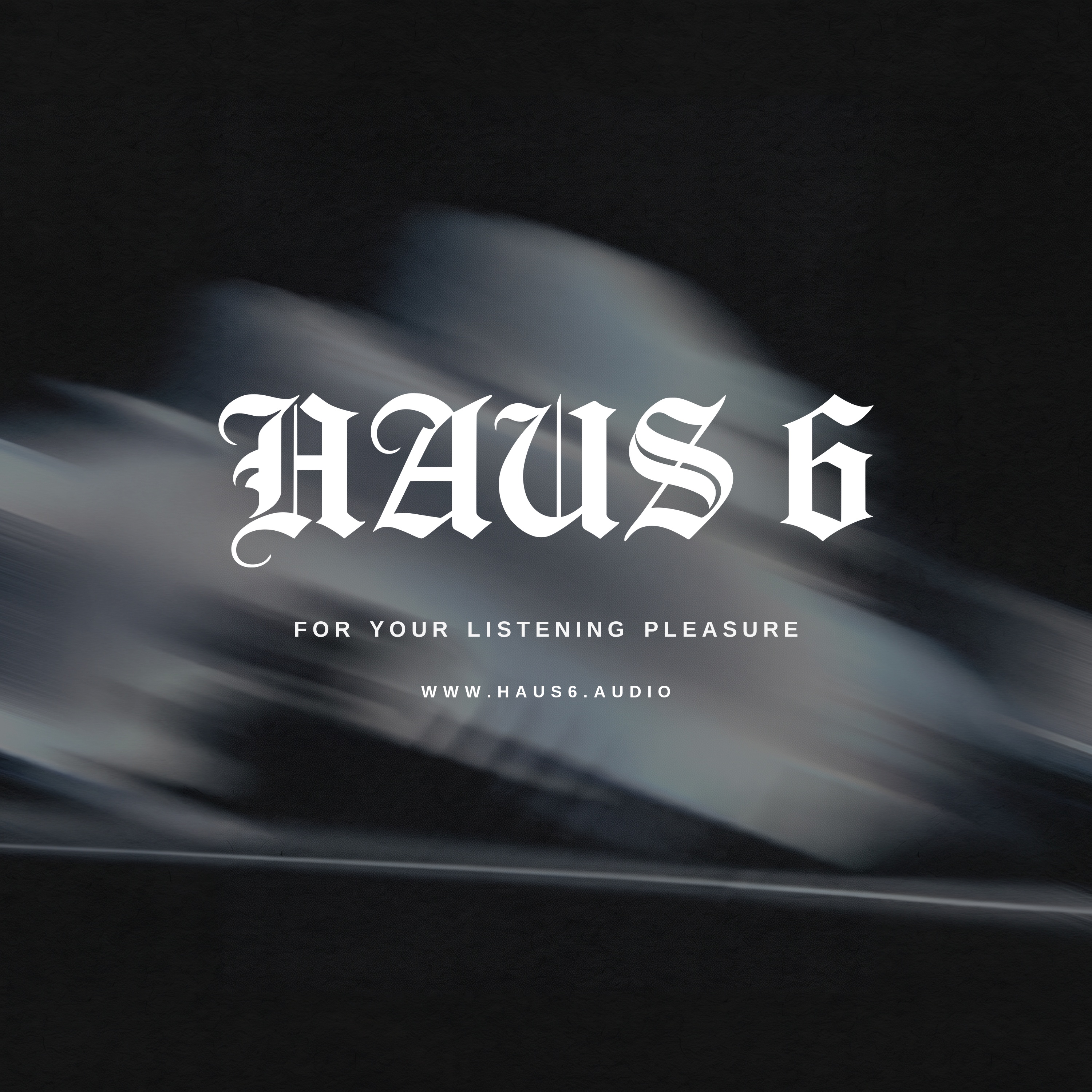 HAUS 6 channel art